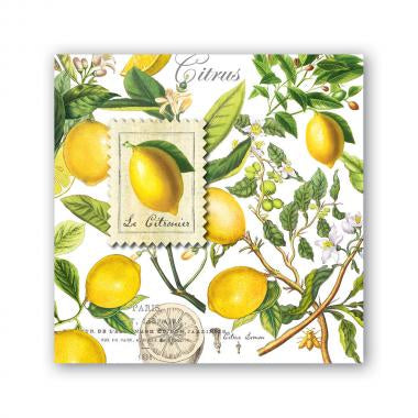 Lemon Basil Cocktail Napkin - Pack of 6