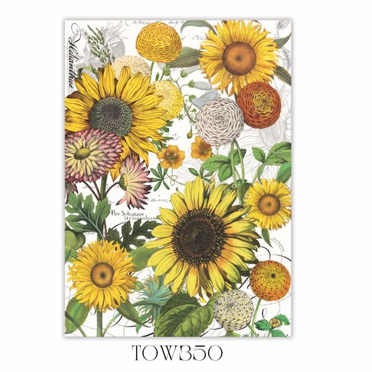 Sunflower Kitchen Towel - Pack of 3