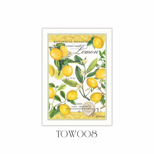 Lemon Basil Kitchen Towel - Pack of 3