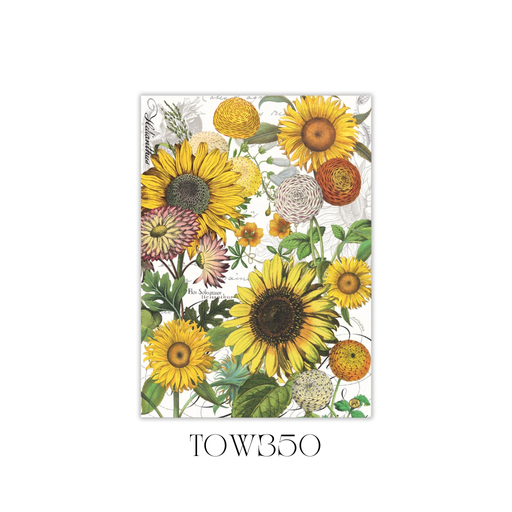 Sunflower Kitchen Towel - Pack of 3