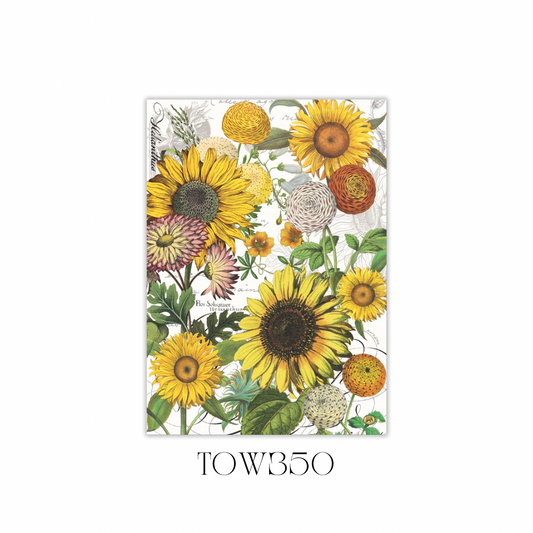 Sunflower Kitchen Towel - Pack of 3