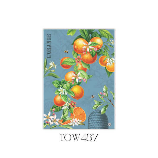 L’Orange Kitchen Towel - Pack of 3